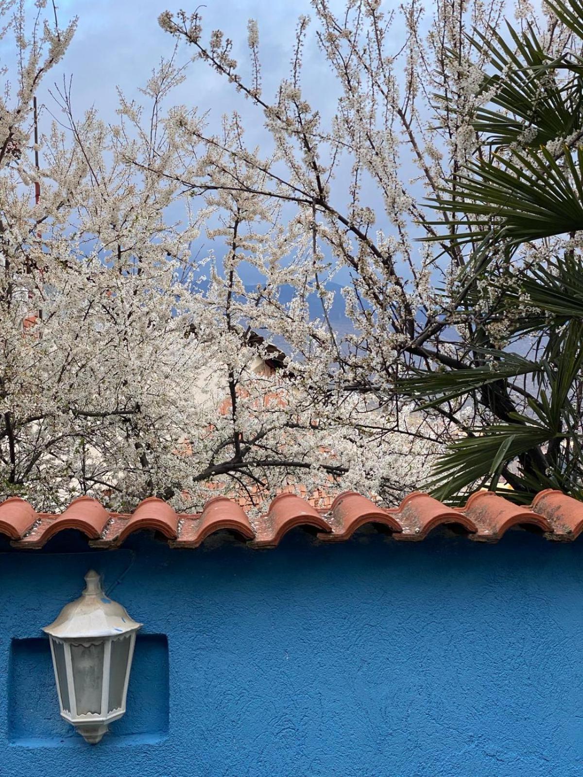 Blue Orange Lake Hostel أوهغيد المظهر الخارجي الصورة